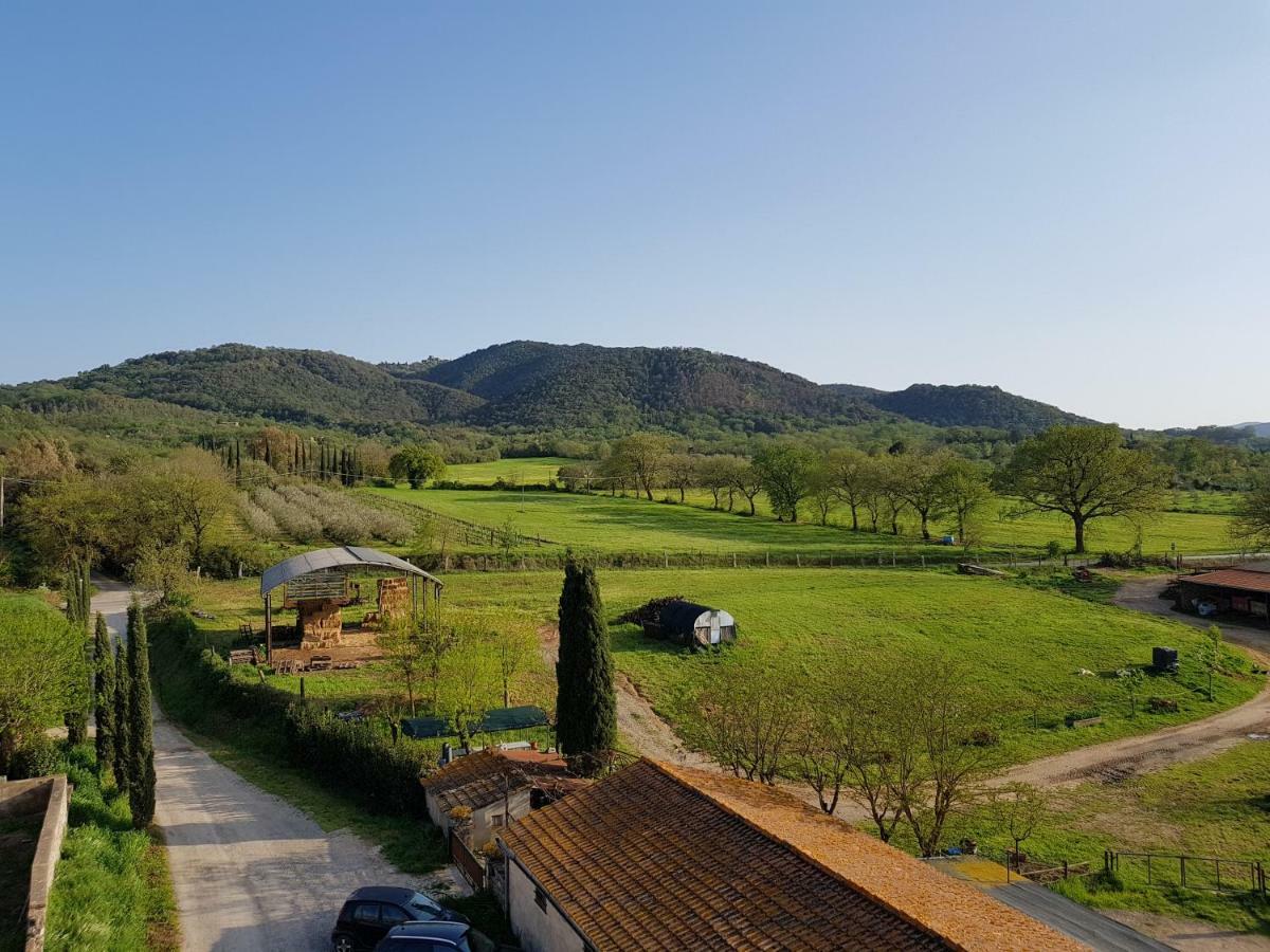 Castello Di Casallia Maison d'hôtes